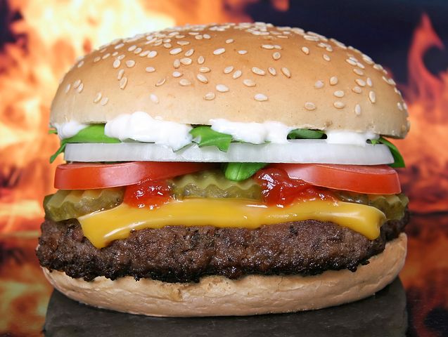 hamburger-1238246__480
